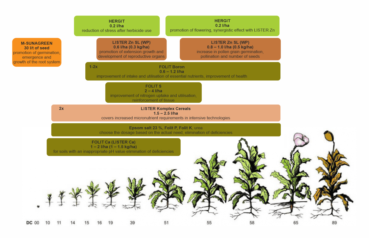 Stimulation of the growth of opium poppy